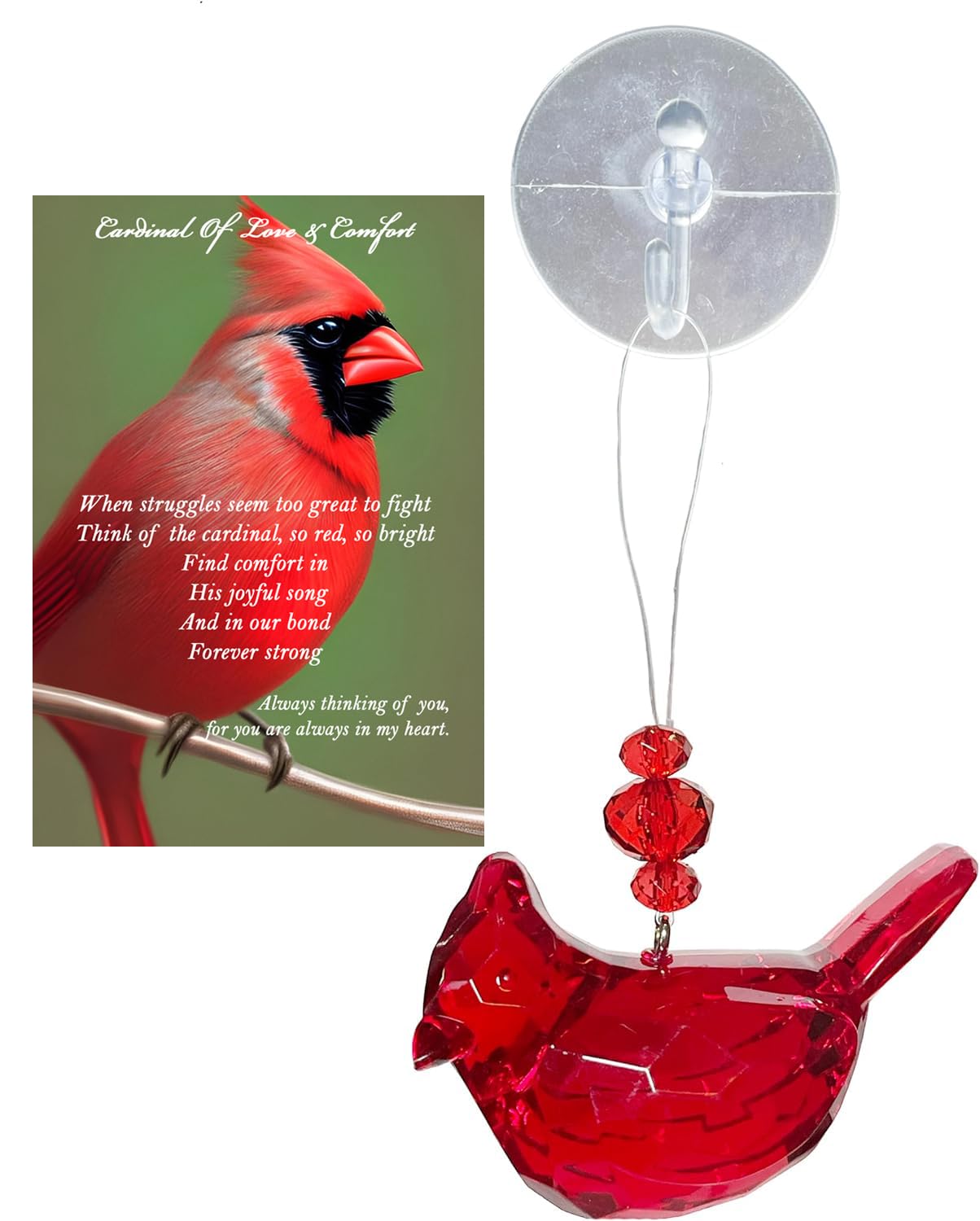 Cardinal Memorial Gift Cardinal of Love and Comfort Visitor from Heaven Sympathy Gift Set Bereavement Gifts Remembrance Gifts for Loss of Father,