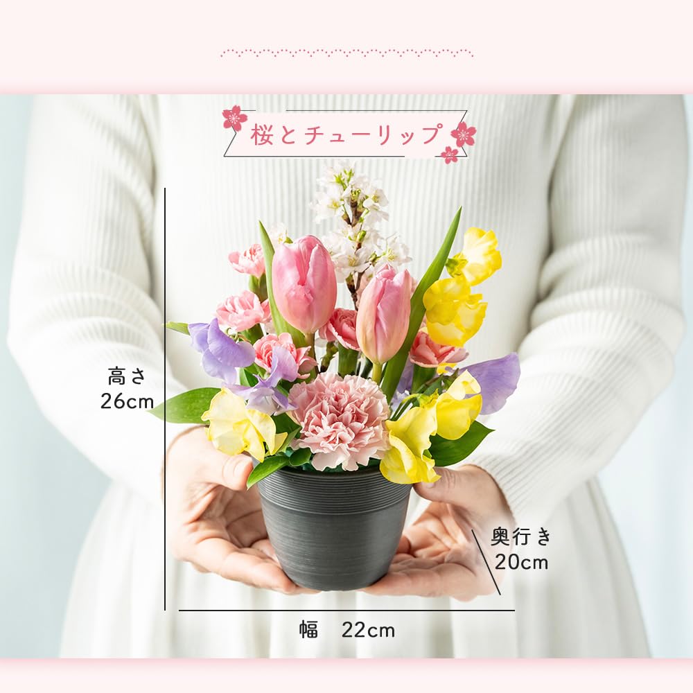 Amazon｜桜アレンジメントSサイズ ［COLORFUL Flowers］ (桜と