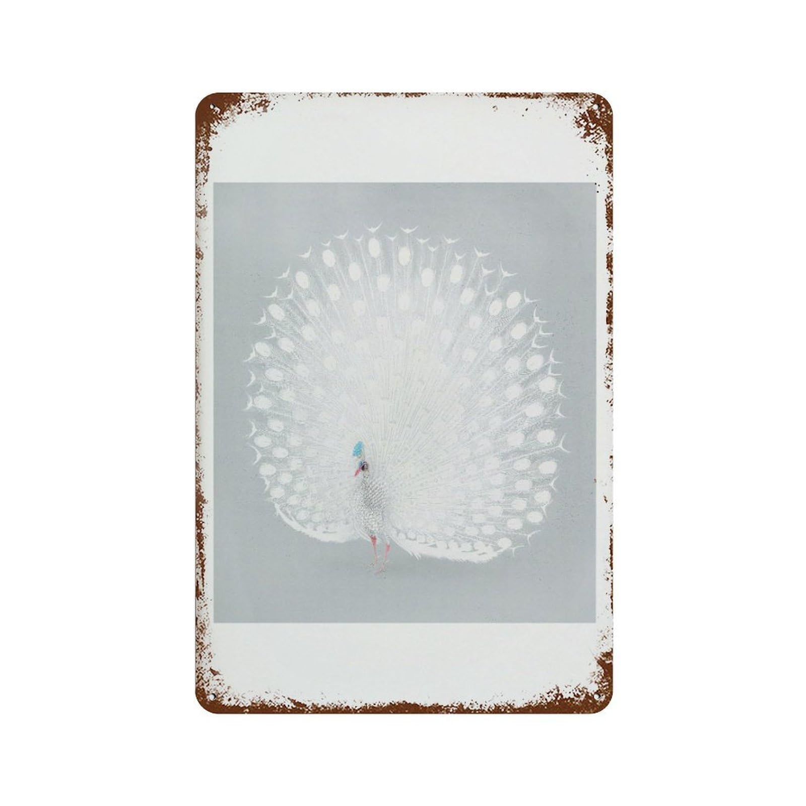 xiaoxiaoshen Japanese White Peacock Ohara Koson Woodcut Wall Decor Art Metal Tin Poster Modern Home Decor Art Home Bar Shop Decorations Vintage Sign 30x20cm