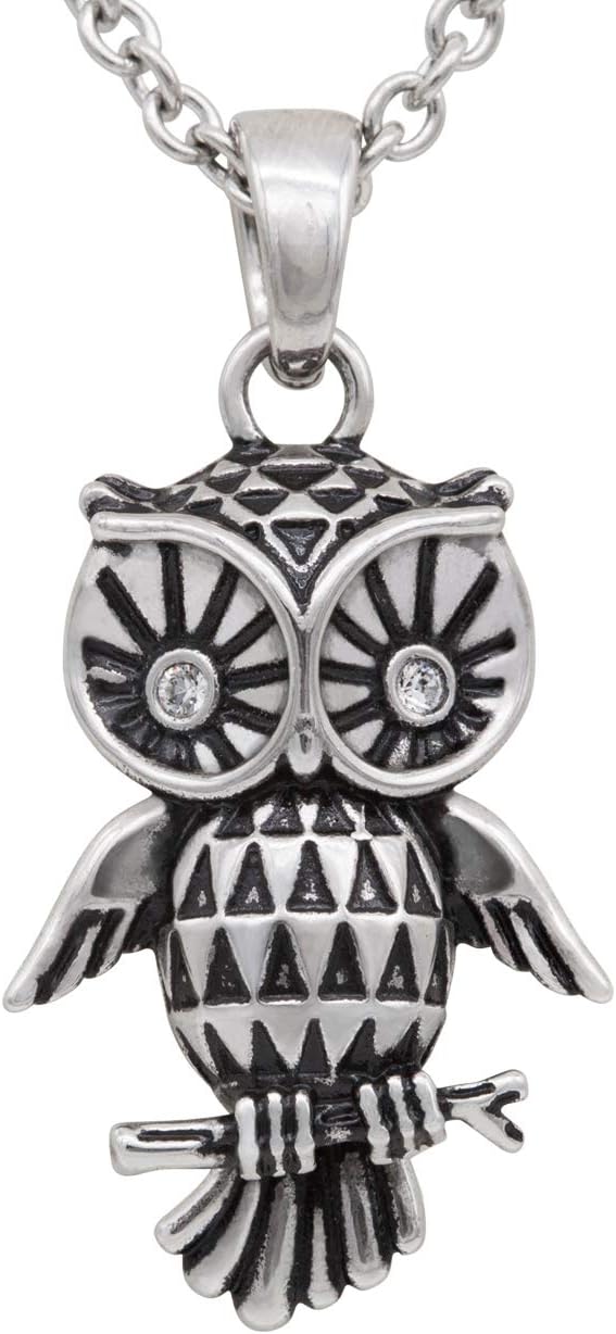 Controse Silver-Toned Stainless Steel Sparkly Crystal Eyed Owl Necklace