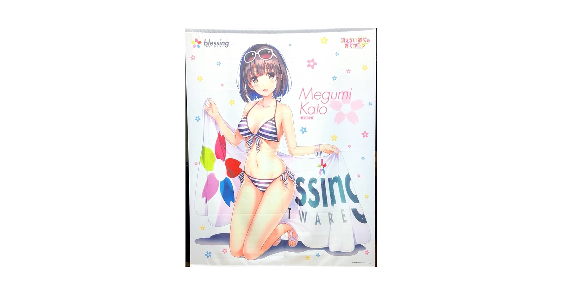 希少 冴えない彼女の育て方 水着等身大 タペストリーセット 絶版 61FABpkatKL.jpg_BO30,255,255,