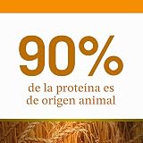 Ver la foto 4