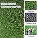 Petgrow Realistic Artificial Grass Turf -5FTX10FT(50 Square FT)- Thick Fake Grass Pet Dog Mat Pad with Drain Holes- Indoor Outdoor Astroturf Garden Lawn Landscape Balcony Synthetic Faux Grass