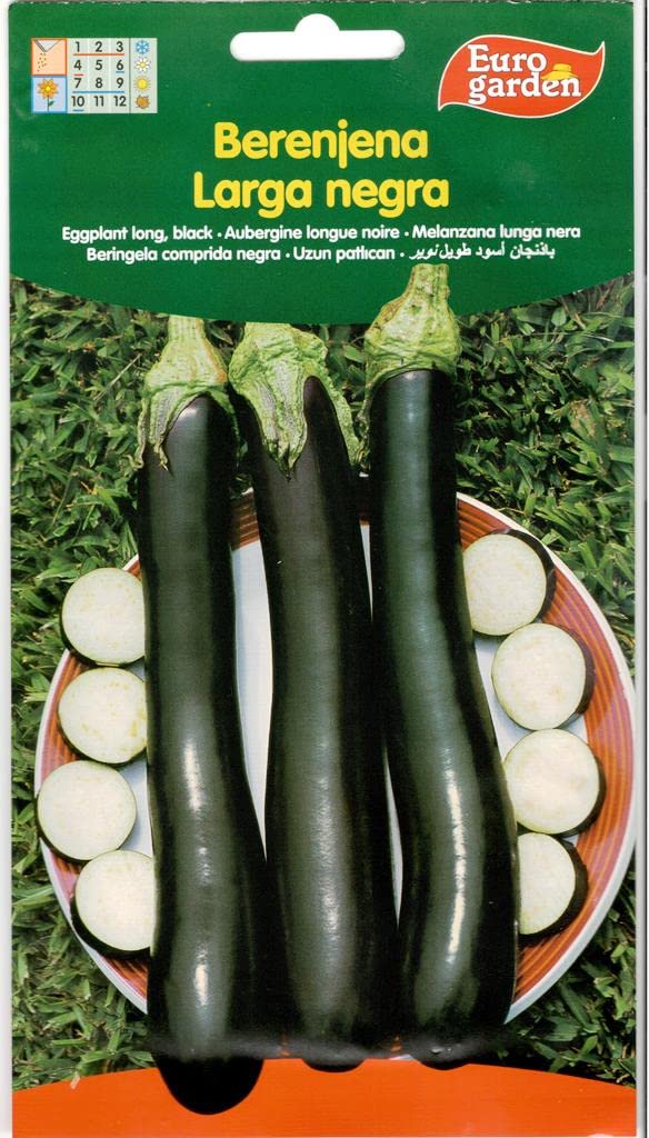 Euro Garden Eggplant Long