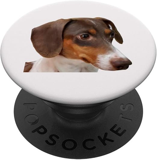 dachshund popsocket