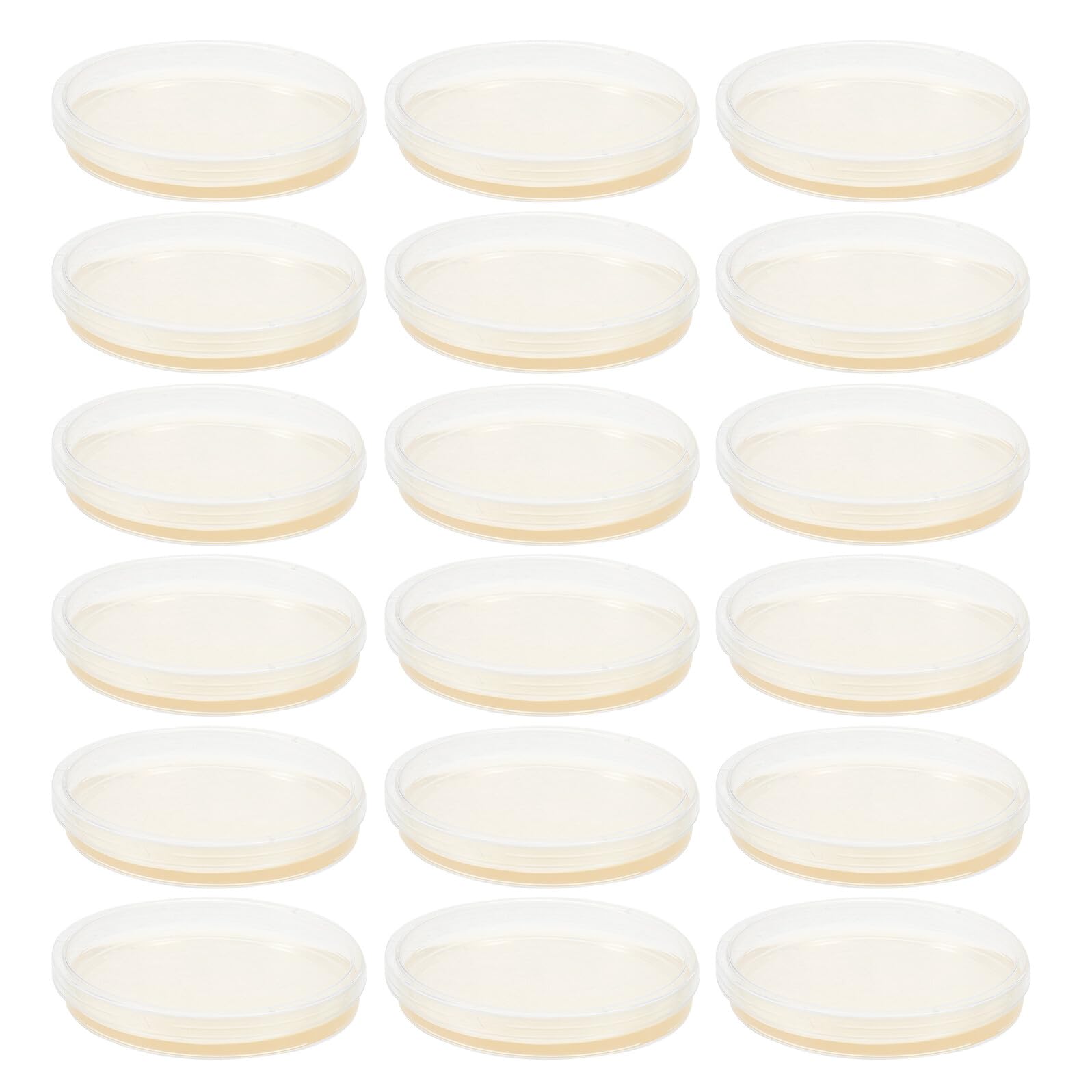 Homoyoyo Piastre di Petri in Agar Nutritivo Preversate da 90 Mm, Confezione da 20 Pezzi Coperchio Trasparente, Attrezzatura di Laboratorio per Esperimenti Scientifici e Colture