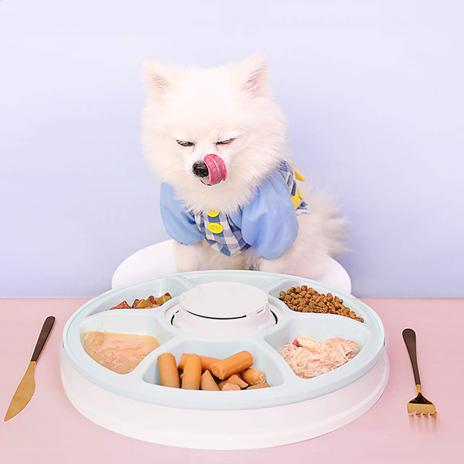 Alimentatore Automatico per Cani E Gatti, Distributore di Cibo Secco O Umido, 6 Vassoi con Controllo delle Porzioni, Timer Digitale Programmabile con Display LCD, Registratore Vocale
