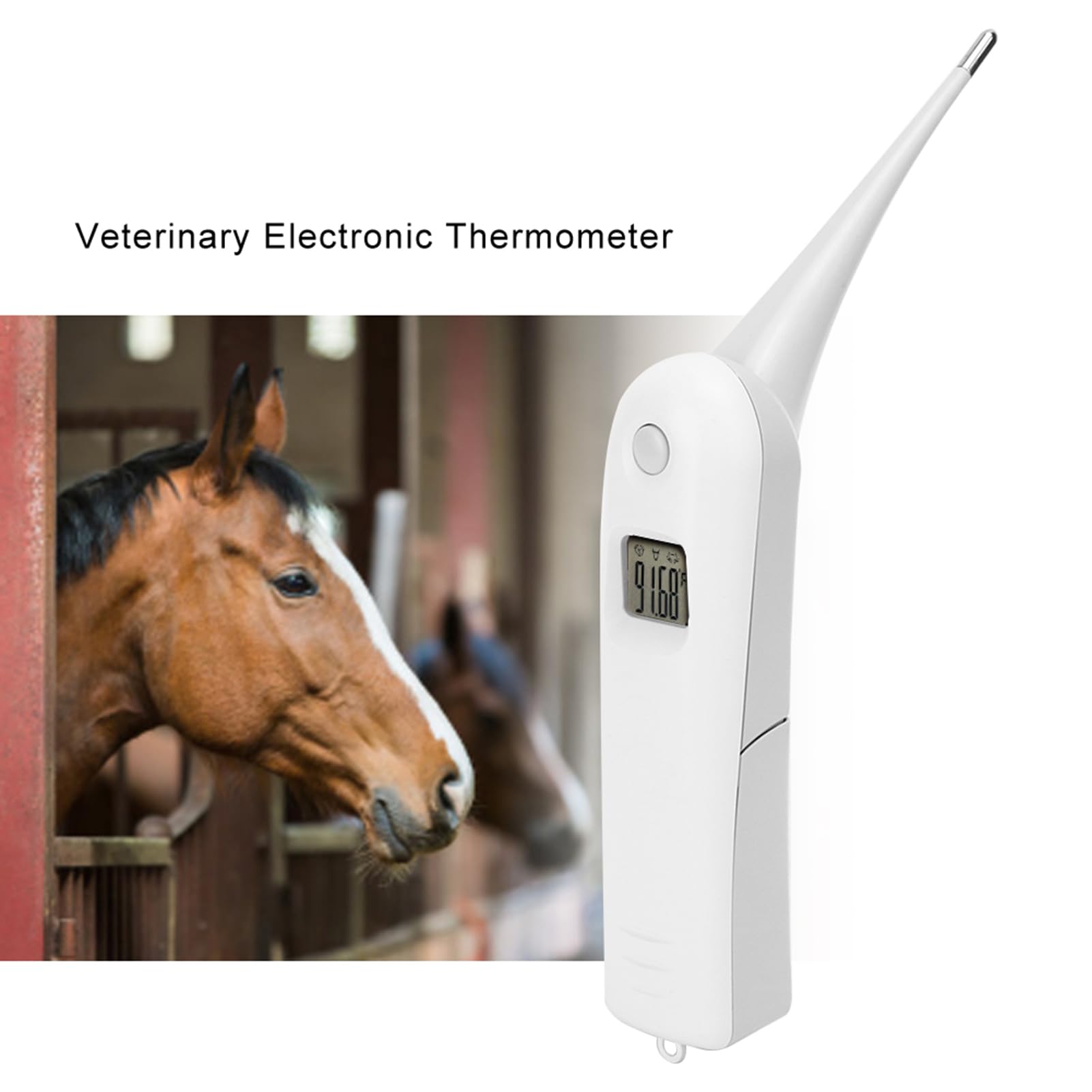Termometro Elettronico per Maiali Bovini da Pecora, Termometro per Cani da Compagnia Termometro per Ano Termometro Veterinario Digitale Veloce Tester di Temperatura per Bestiame