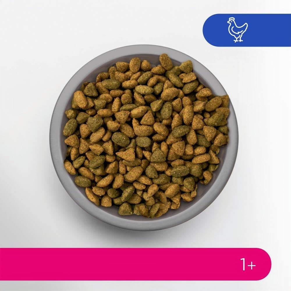 Alimento seco para Gatos Adultos a Partir de 1 año - Pollo, 7 kg (1 Bolsa)