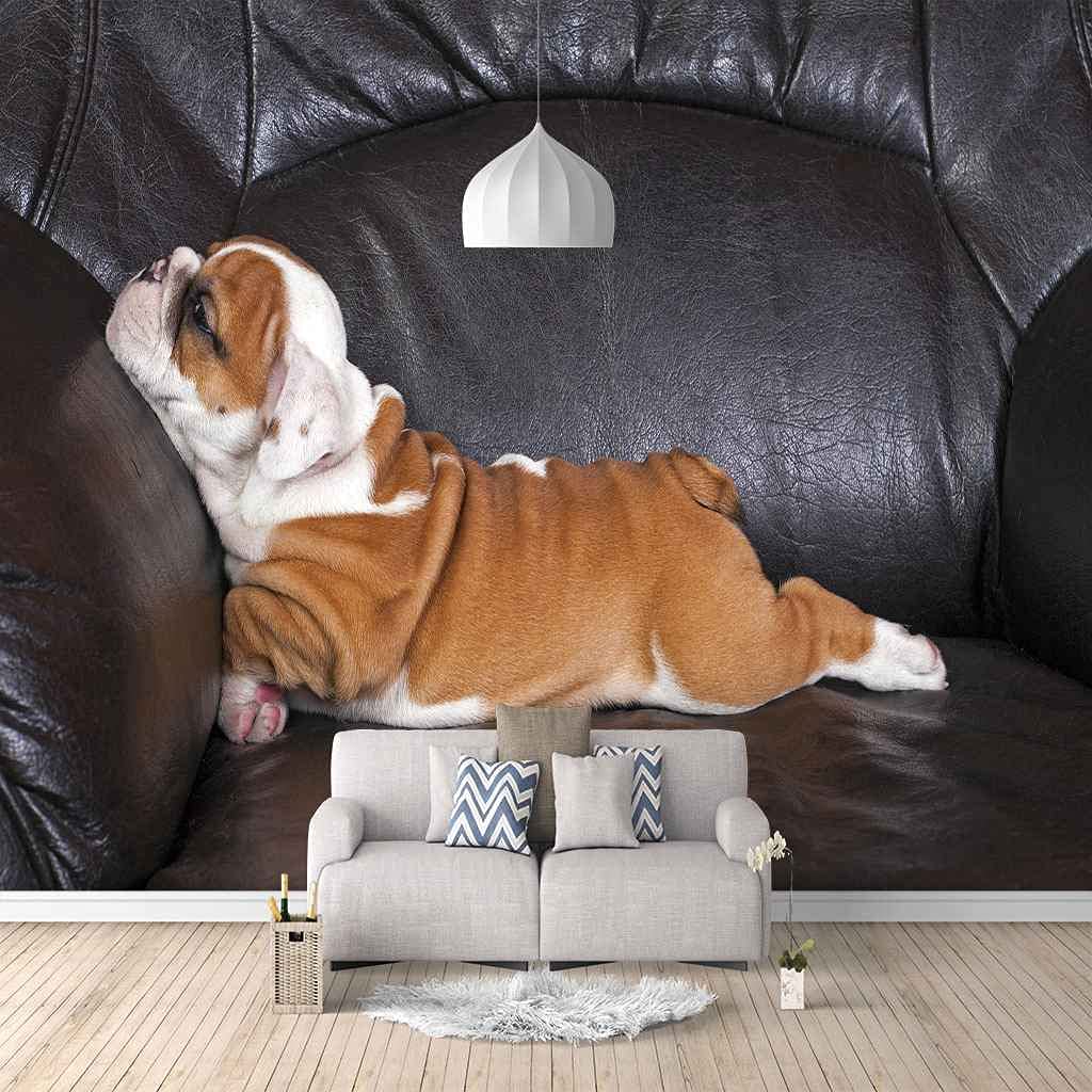 Poster géant chiot et papier peint photo 3D auto-adhésif 400x280 cm pour revêtement mural de chambre