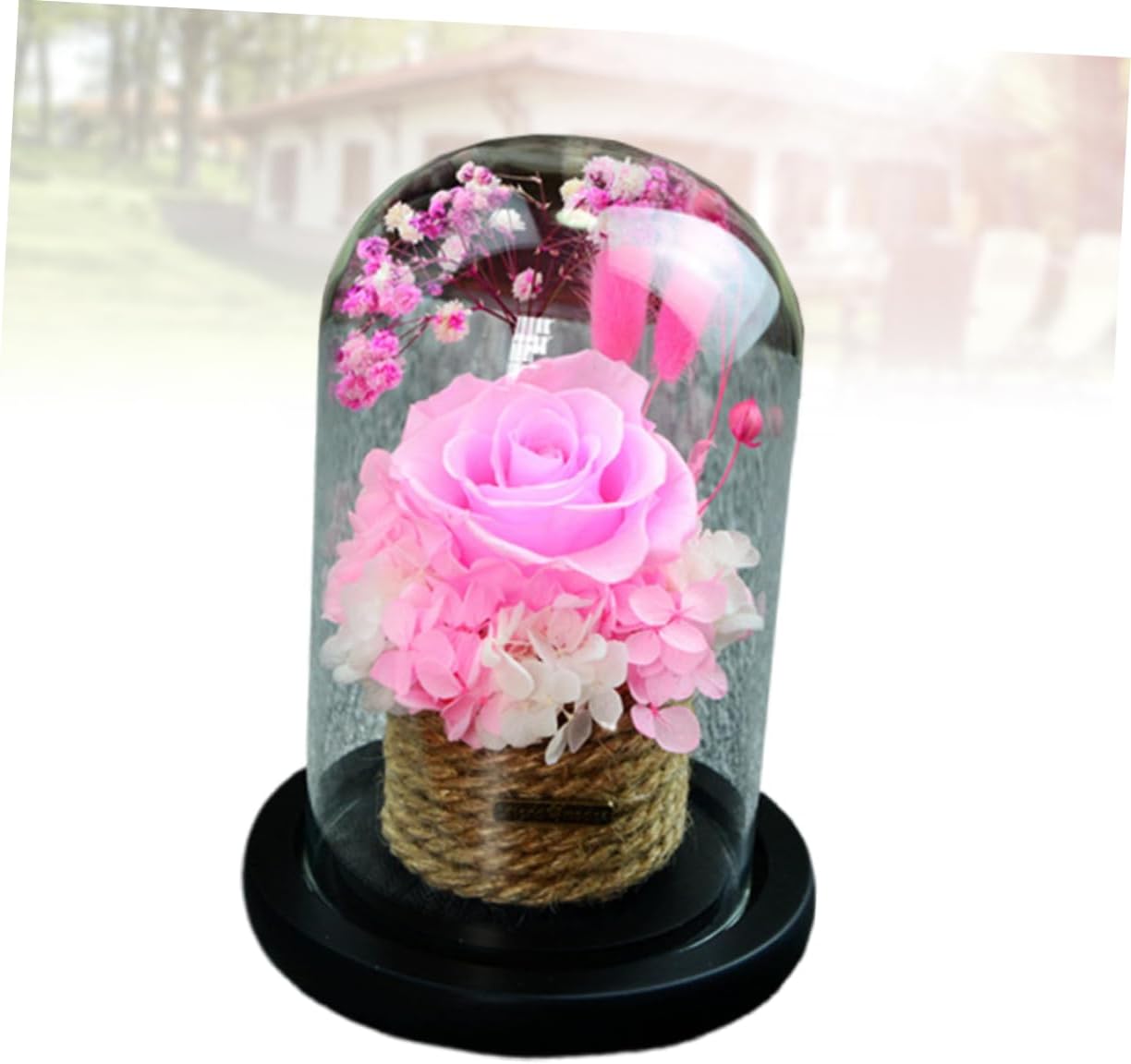ABOOFAN Romantic Preserved Flower Glass Dome Box Artificial Rose for Valentine Day Anniversary Christmas Decoration Sturdy Base Lasts Forever