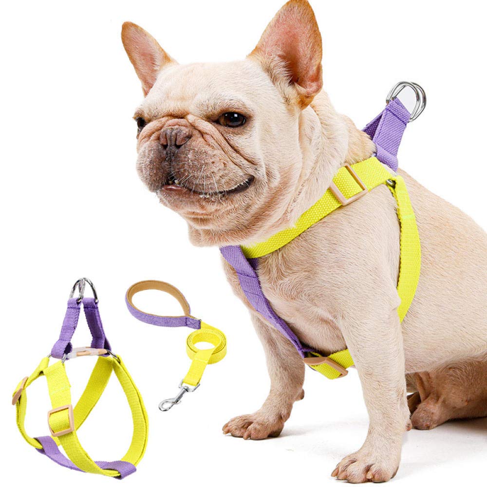 Arnés for Perros y Gatos con Correa, arnés for pequeños, de Nailon antitirones, Juego Collar GL(B,S)