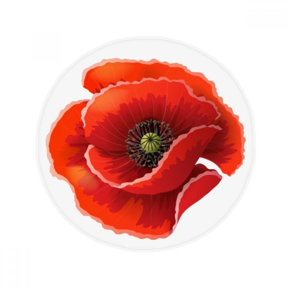 Tapis de sol rond anti-dérapant motif coquelicot rouge pour salle de bain 80cm
