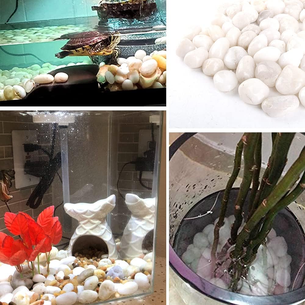 Anothera 7 LB 1/2"-1" Fine Polished White Pebbles for Plants Natural River Rocks, Garden Walk Stones Outdoor Gravel Fish Tank Vase Decorative : Garden & Outdoor