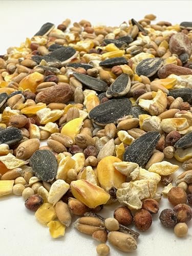 Gourmet Wild Bird Food Blend, Wild Bird Seed Mix with Peanuts 2.27kg (5lbs) for Blue Jays, Cardinals, Chickadees & Sparrows – Canadian Grown - Image 3