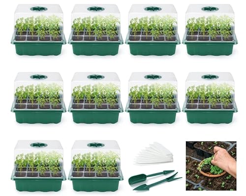 Anzuchttöpfe, Mini Gewächshaus Setzlinge 10er Pack Propagator Growing Thicken Setzling Starter Growing Trays mit durchsichtigen Deckeln/einstellbarem Fenster für Gewächshäuser und Gärten Cover