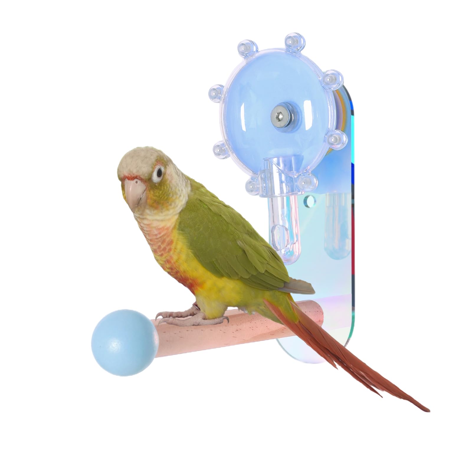 Rotating Foraging Puzzle Toy for Parrots with Colorful Acrylic Perch - Interactive Mental Enrichment Feeder Game for Cockatiels, Conures, Budgies, Lovebirds (Blue, M)