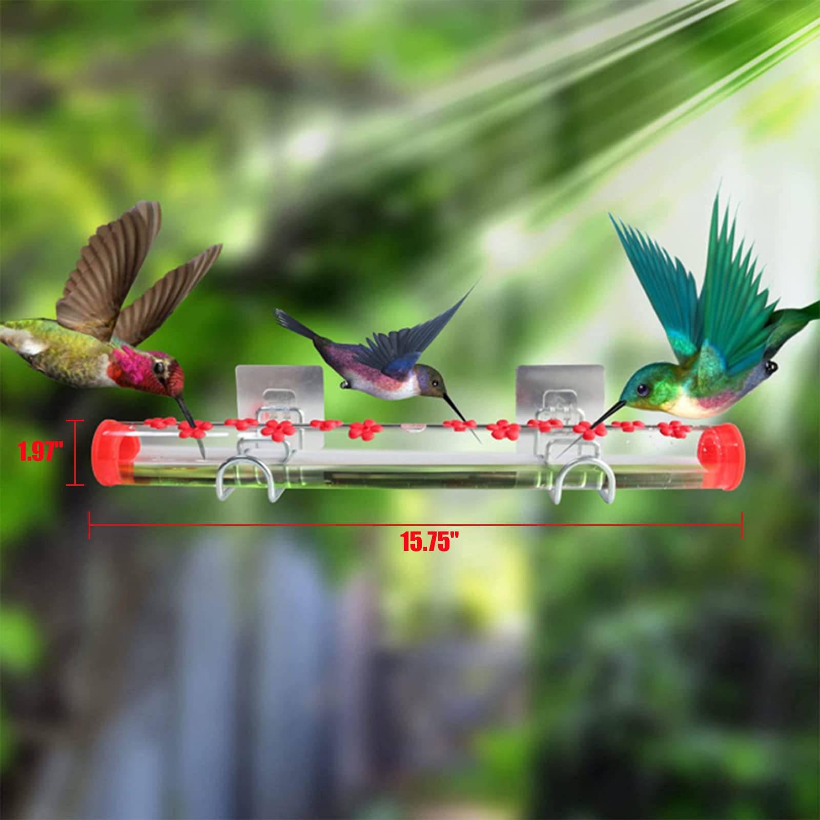 Snapklik.com : Window Hummingbird Feeder, Acrylic Bird Feeder Window
