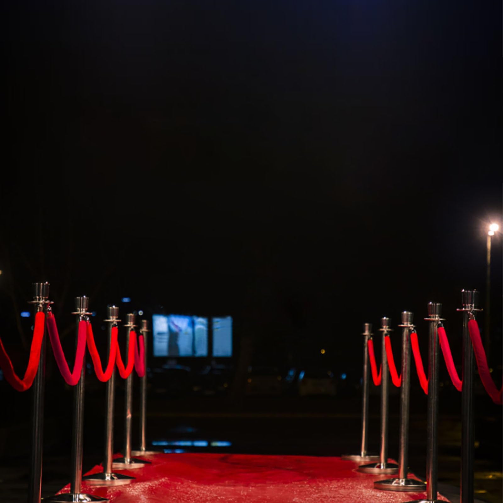 Confezione da 2 corde per coda VIP da 50 a 150 cm nero/blu/rosso con ganci argento/oro, corda per il controllo e la gestione della folla soluzione durevole della linea di coda