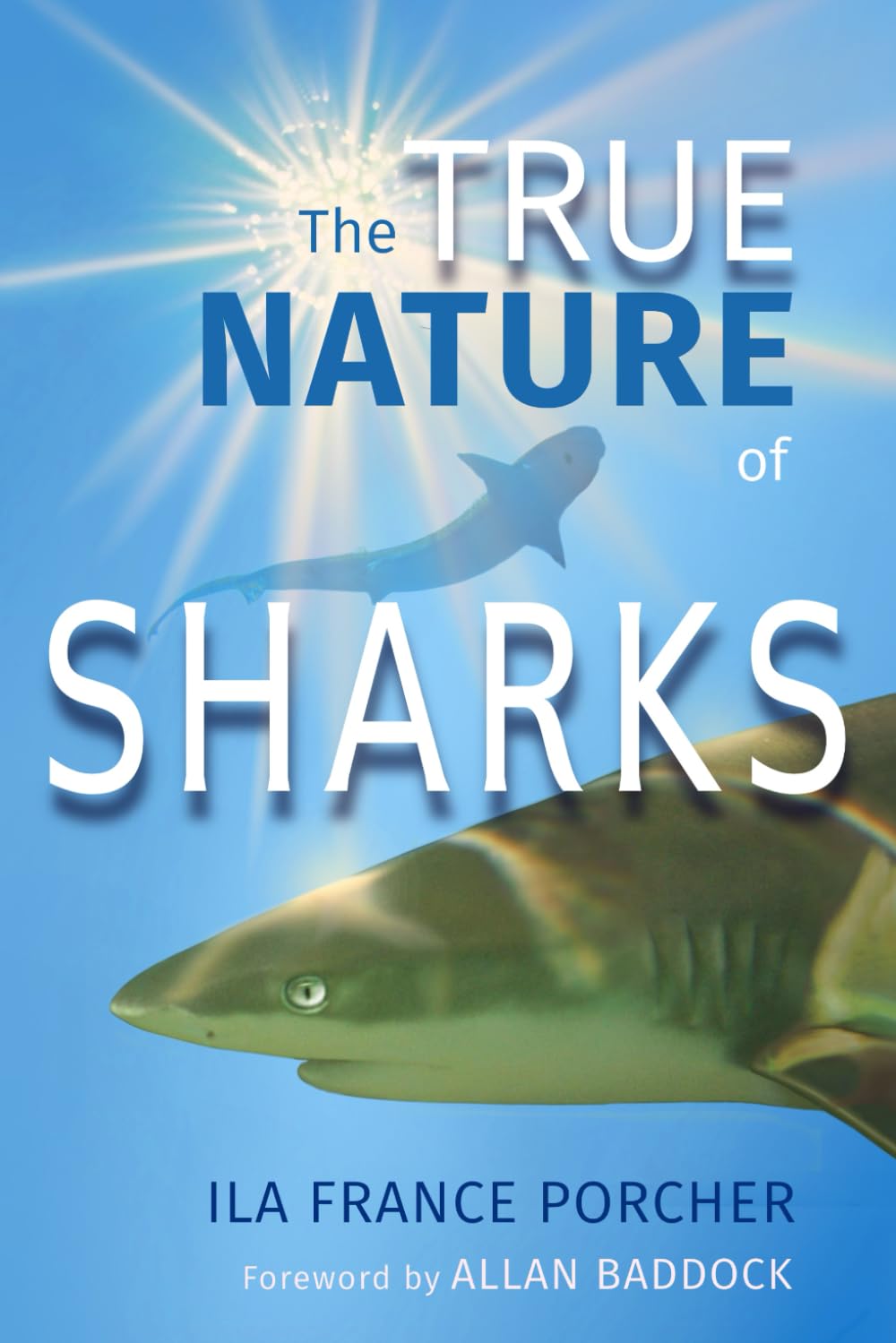The True Nature of Sharks