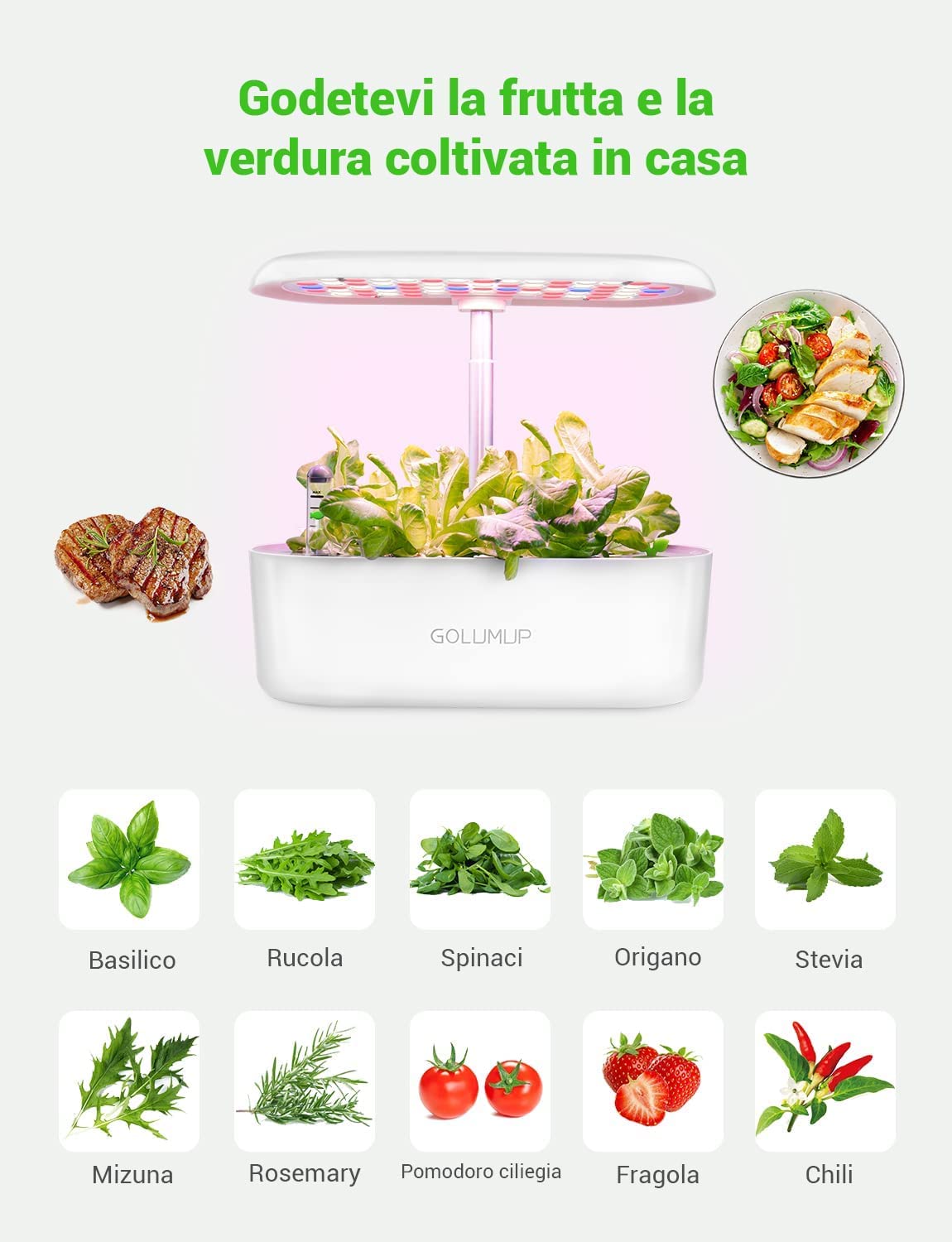 Serra Idroponica 12 baccelli Smart Garden con Luce di Crescita a LED, Kit di Germinazione delle Piante con Timer Automatico, Sistema di Giardino Interno Intelligente, Regali di Giardinaggio