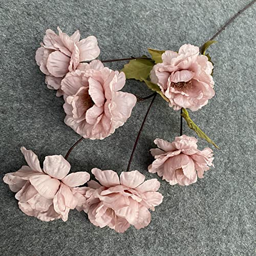 Flores de Peonía Blanca, Flores Secas Decorativas miniatura 1