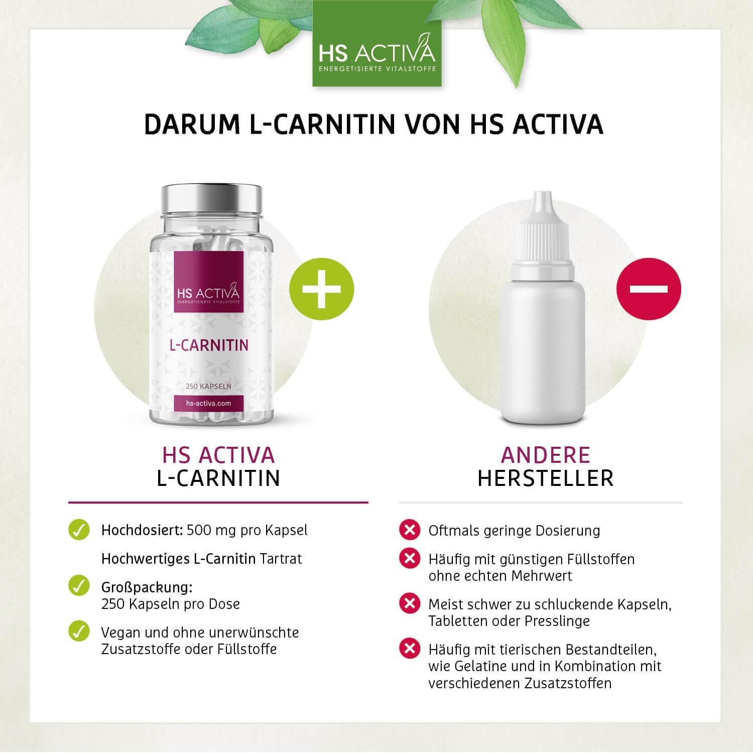 HS Activa L-Carnitin 250 Kapseln, 500mg L-Carnitin Tartrat pro Kapsel