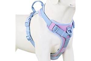 Adjustable Dog Harness: Your Pup's Comfy and Stylish Adventure Buddy