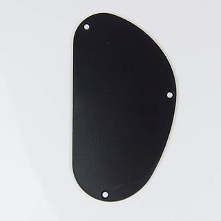 ABS Plastic Back Plate Cavity Cover, kidney Shape, V-2, Black