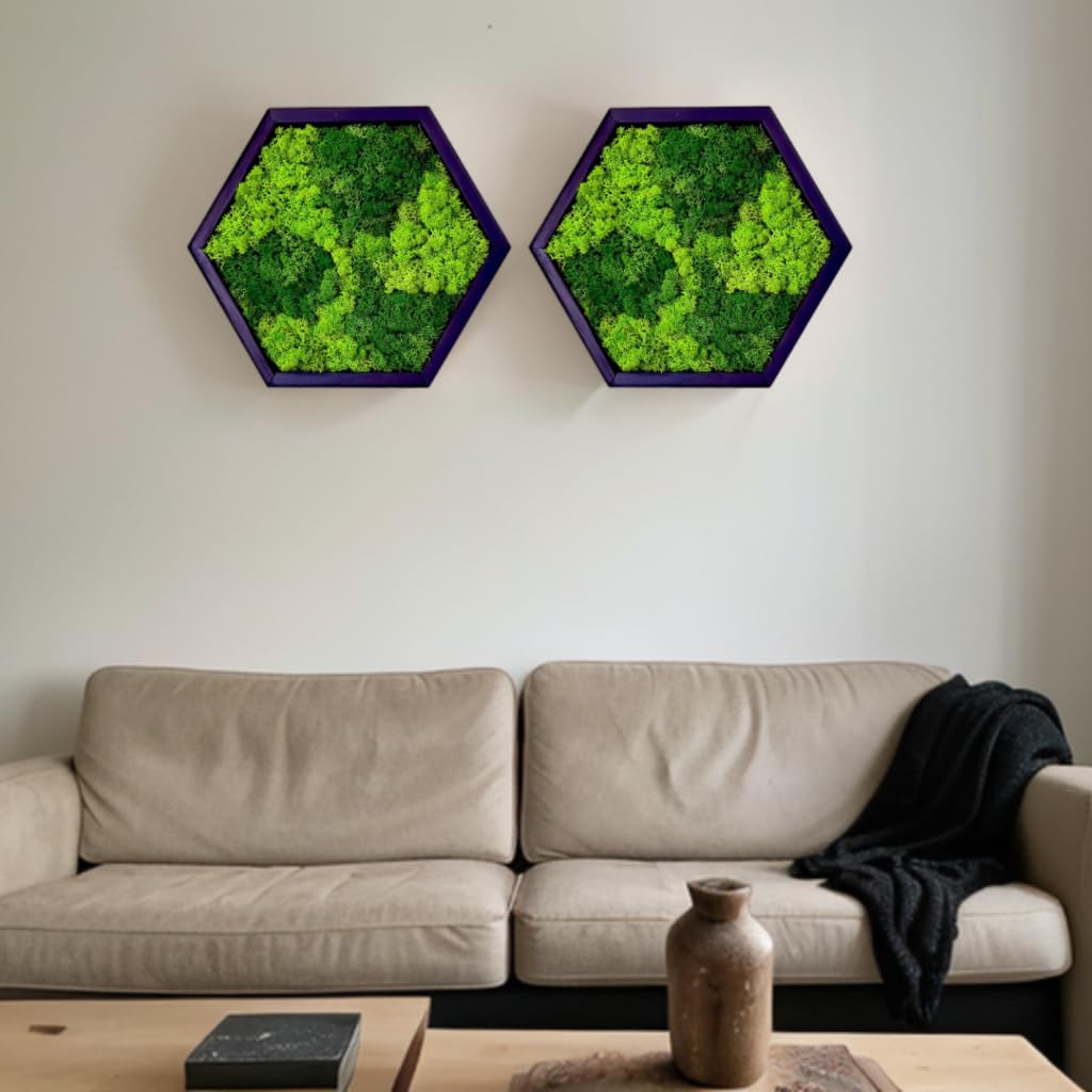 lagomHexagon Moss Pattern Wall Art - Real Moss, Zero Maintenance - Eco-Friendly Natural Green Wall Decor - Moss Framed - Contemporary Wall Decoration with Living Plants (2)