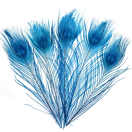 Luorng 12Pcs Peacock Feathers For Diy Craft Hat Decoration, Blue #TOP2