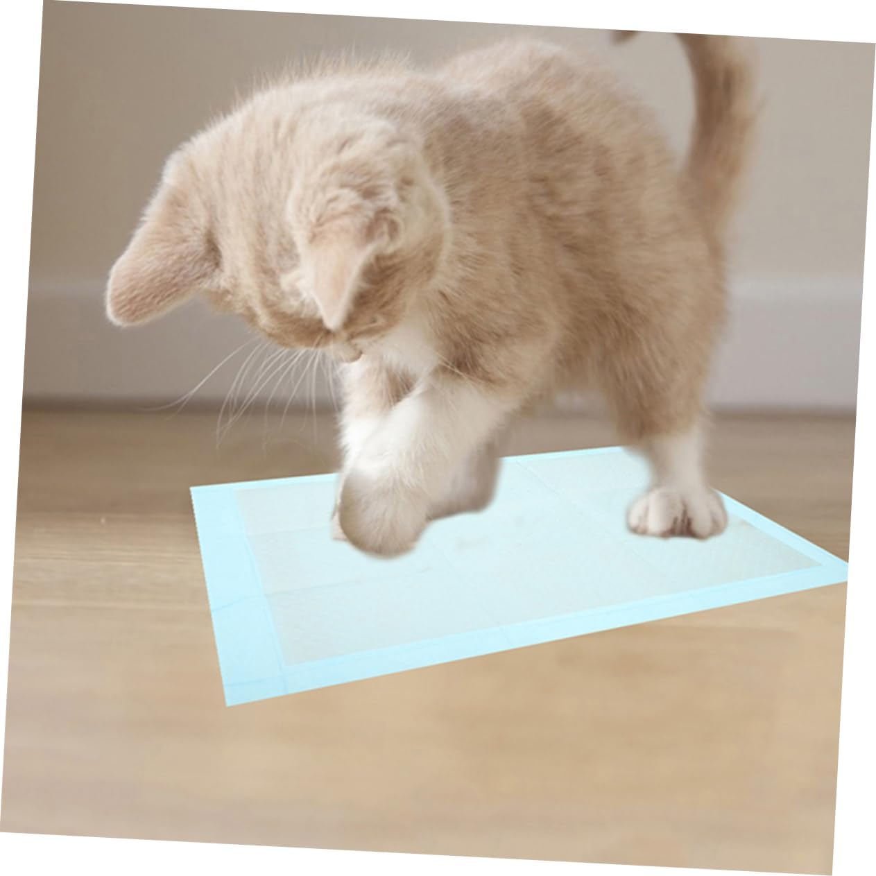 Toyvian 100pcs Disposable Puppy Training Pads Ultra Absorbent Dog Potty Pads for Indoor Use Leak-Resistant and Super Soaking for Easy Cleanup and Potty Training