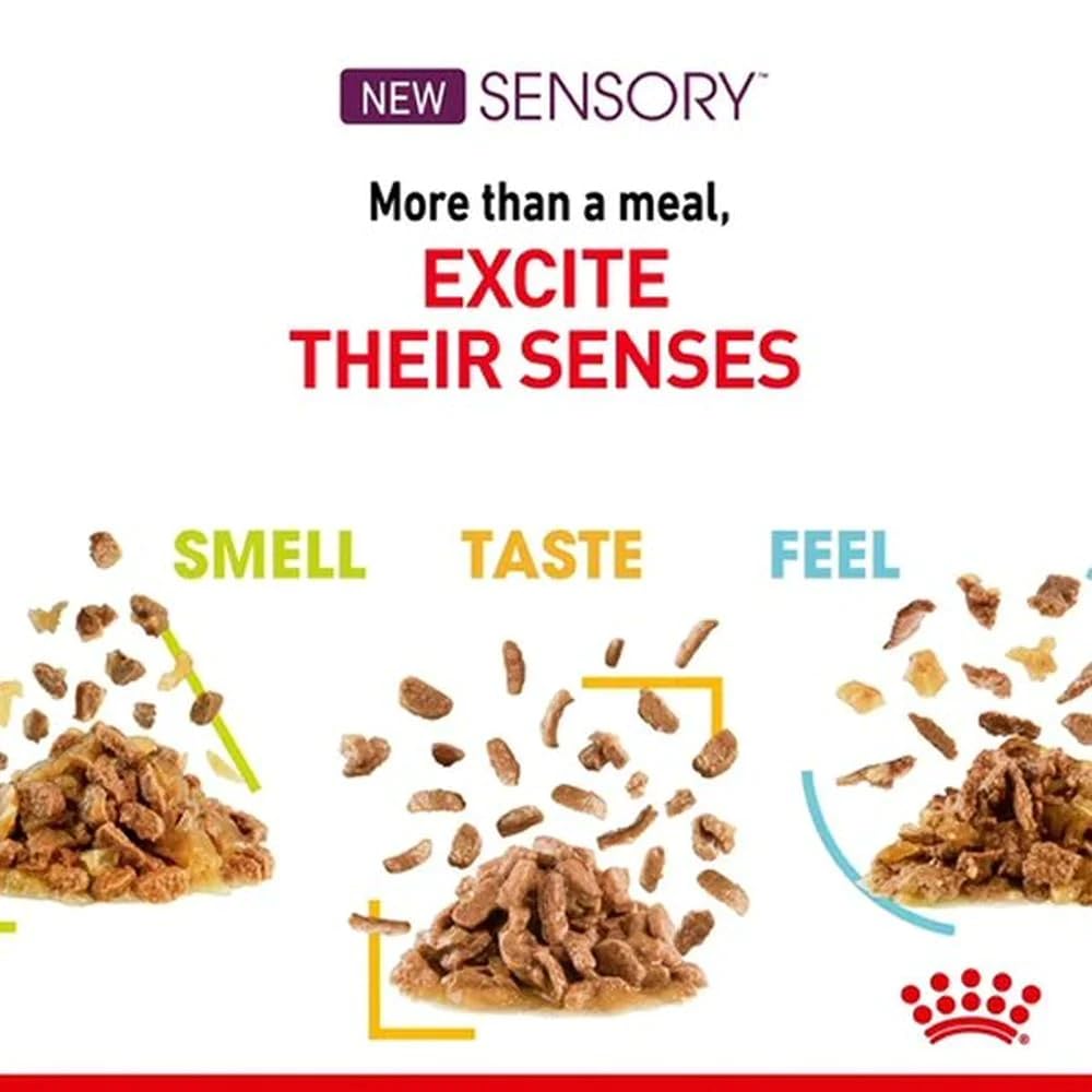 Royal Canin Sensory Smell Taste Feel mokra karma, opakowanie multipack w sosie dla wybranych kotów, 12 x 85 g