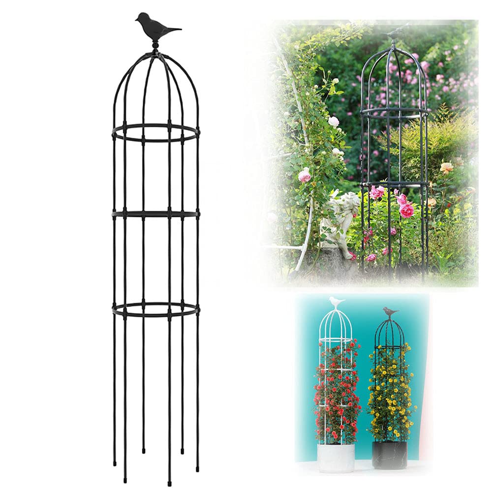 Obélisque de Jardin Métal Arche Support pour Plantes Grimpantes Cage Rose pour Interieur Exterieur Jardin Balcon Décoration, 180cm,230cm,280cm,330cm