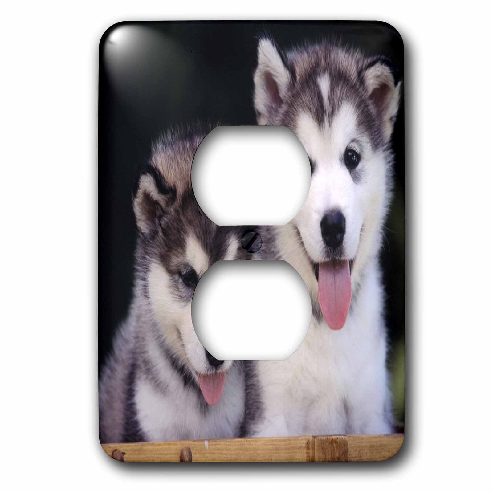 Cache-prises chiots Malamute Alaska pour décorer la chambre de votre enfant