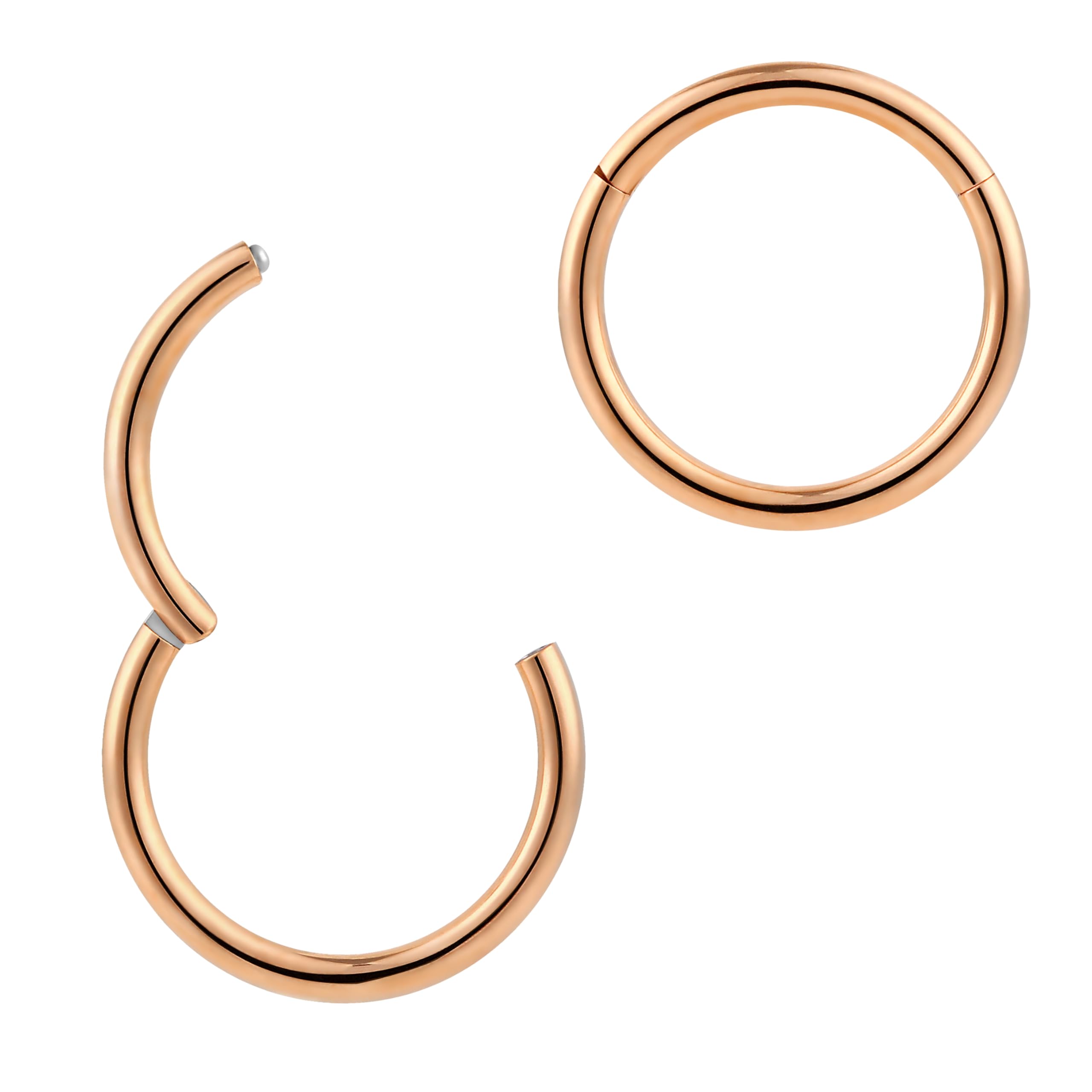 365 SLEEPERS 1pc Titanium Implant Grade Nose Rings 20G 18G 16G 14G 12G 10G 8G 6G Septum Hinged Segment Ring Body Piercing Jewellery Hoop Lip Rings Helix Cartilage Rook Earrings Nickel Free — view 13