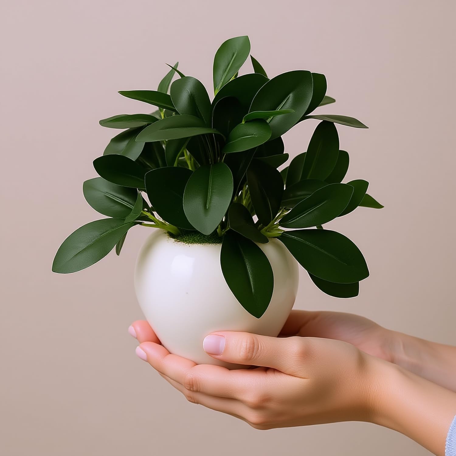 fancymart Artificial Rubber Plant in 4 Inch White Apple Pot (22 cm Height) – Realistic Green Decorative Plant for Home Decor, Living Room, Office Desk & Interior Decoration 3