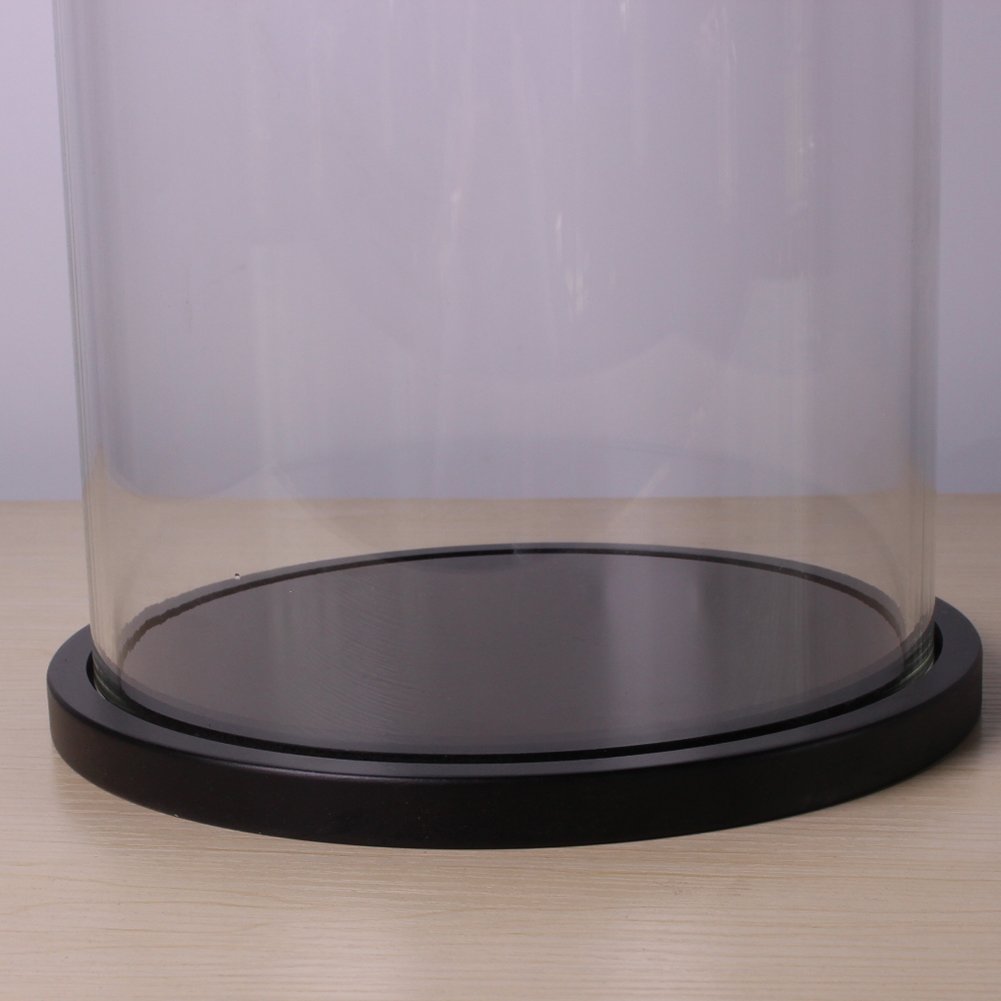 Expositor de cúpula de cristal con base de madera, base negra, vitrina para decoración del hogar, plantas y coleccionables, 20 cm x 35 cm, protección elegante para tus artículos