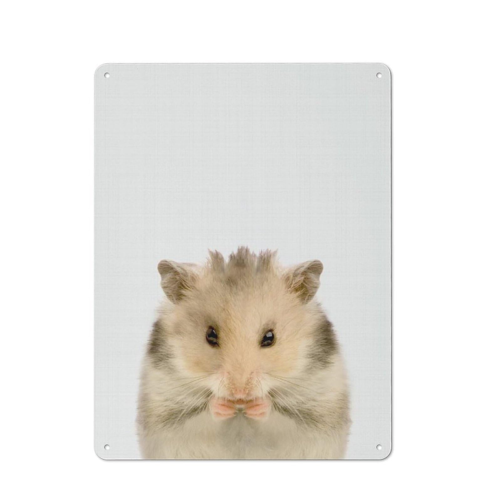 Junmoney Hamster Cafe Style Metal Wall Decor 40X30cm, Vintage Metal Sign For Takeaway, Bar, Kitchen Or Counter Area