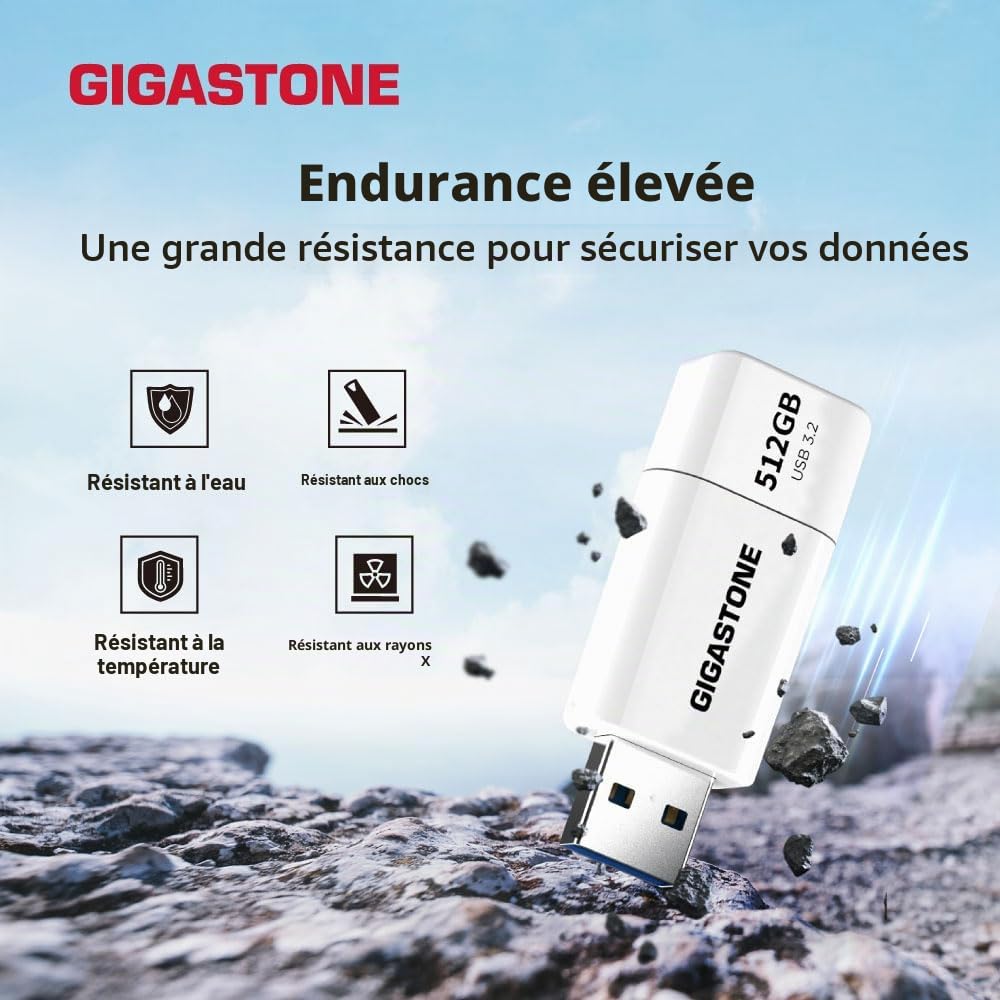 GIGASTONE 512Go Clé USB Flash (Lot de 2) Z60 USB 3.2 Gen 1, 100Mo/s Ultra Rapide, sans Capuchon, Stockage et Sauvegarde pour PC/Mac/TV/Voiture, USB 2.0/3.0/3.1 Compatible