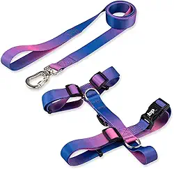 Basic Pet Coleira Peitoral Com Guia Para Cachorro Cães Modelo Tradicional H Tamanho Porte Grande Médio Pequeno (G, Lily)