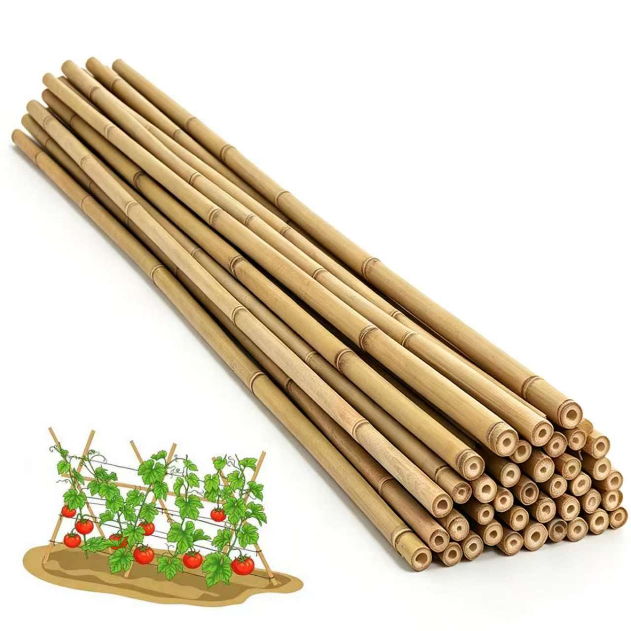 GUANGYE 8Ft 40 Pack Bamboo Garden Stakes