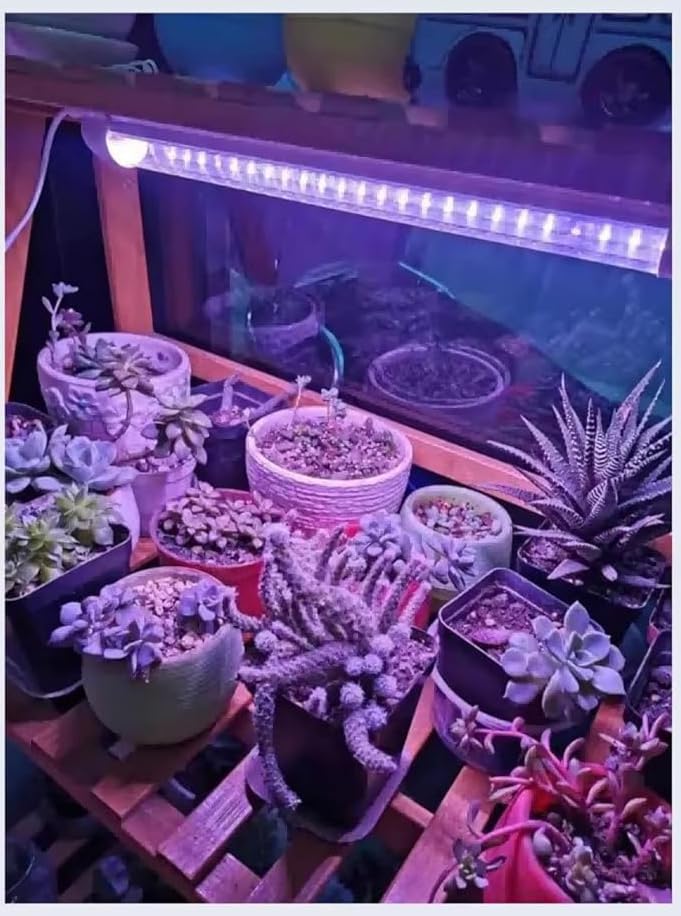 Image of Aluminium 20 Watt LED Grow Lights 2Ft for Indoor Plants, RED+Blue+UV (660NM-460NM-395NM) (Plug and Play)(Energy efficient) (20 Watt)