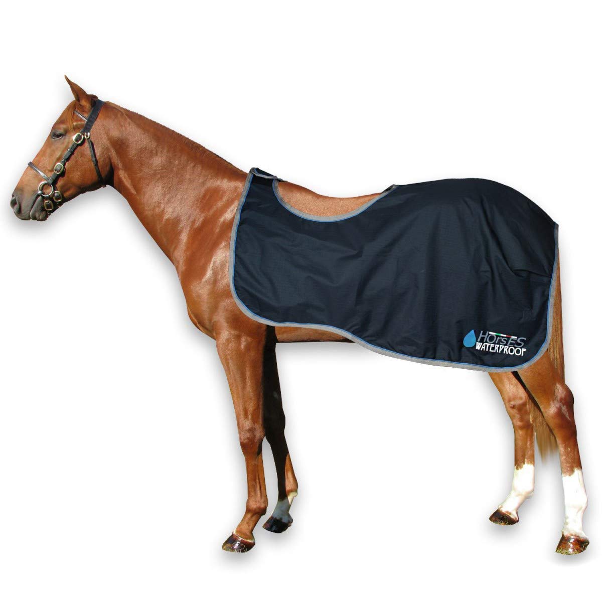 Horses Riñonera Impermeable Waterproof Exercise