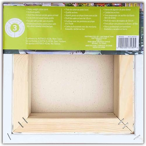 Lienzo resistente envuelto en galería de nivel 3 por Artist's Loft