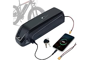REAWOW 48V 15Ah Electric Bike Battery, Lithium eBike Battery with Charger for...