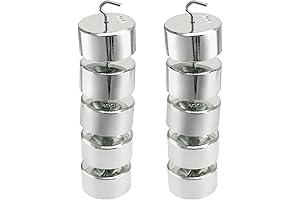 QWORK Double Hook Mini Weights, 10 x 100g Precision Lab Accessories, Perfect...