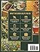Beekeeping for Beginners: From First Hive to First Harvest with Images: A Practical Beginner’s Guide with Charts, Logs, and Troubleshooting