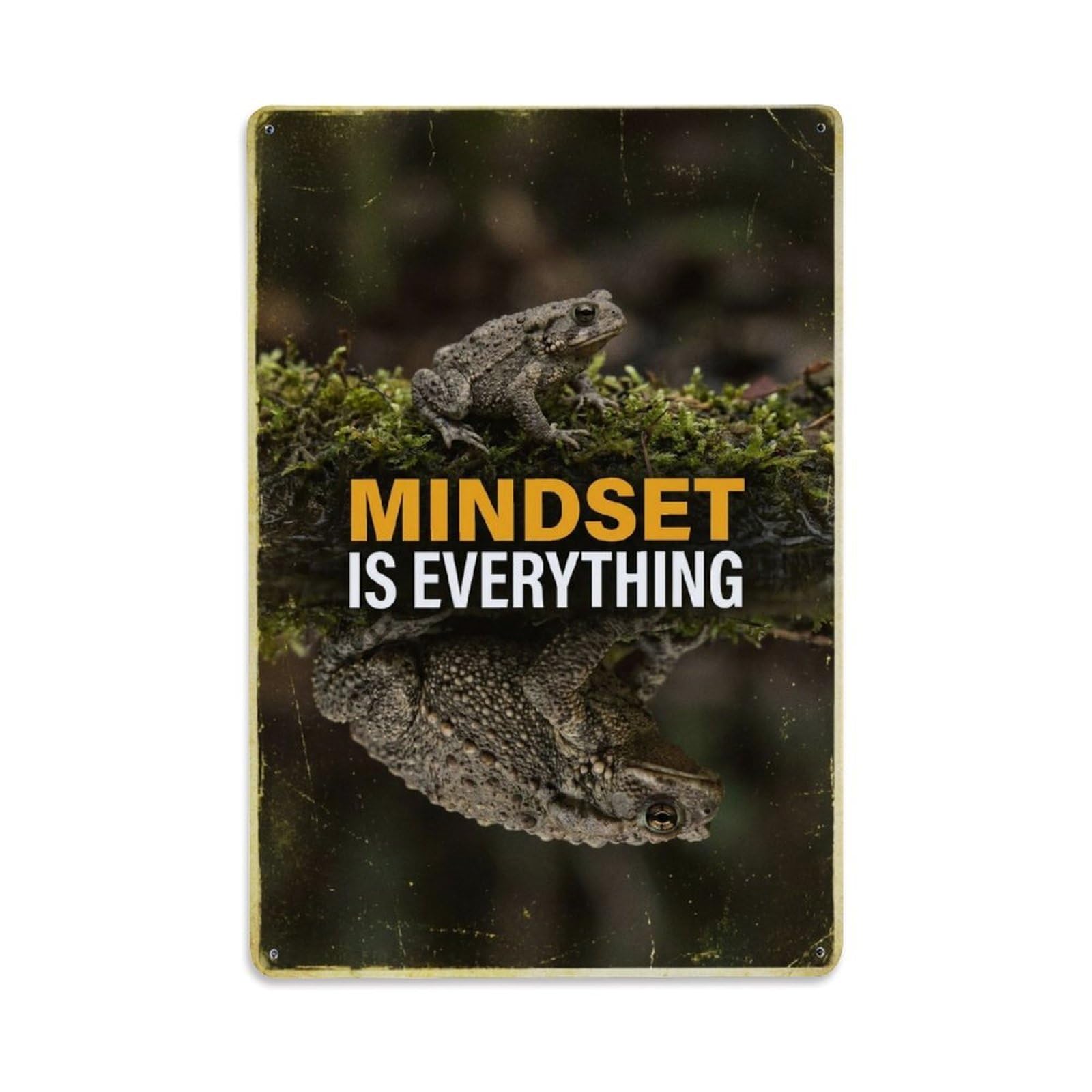 Olhnbad Style Toad Amphibian Mindset Is Everything Motivational Quote Metal Tin Sign