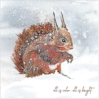 Pack of Christmas cards - Squirrel, 10 Christmas cards in pack with 10 white envelopes - Designed, printed and hand-packed in the UK, by Just Cards Direct